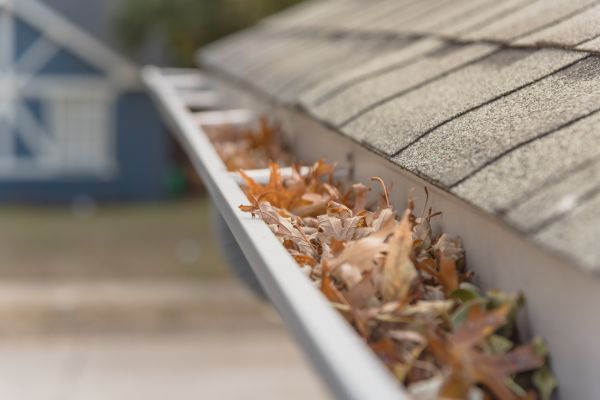 Leaf Barrier Installation in O Fallon